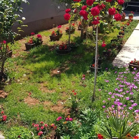 Andja Sea And Garden View *