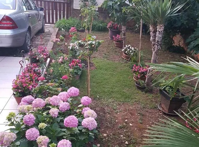 Andja Sea And Garden View 아파트